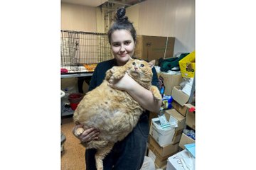 Crumbs, the world’s fattest cat, has died