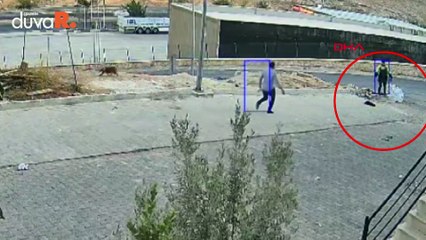 Urfa'da yavru köpeği kaldırım taşıyla öldüren şahıs tutuklandı