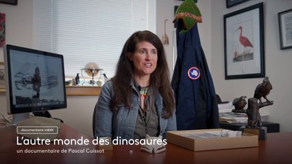 L'autre monde des dinosaures - 31 octobre