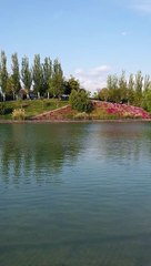 Parque de la Familia, Santiago, Chile: P1 