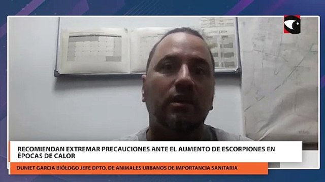 Recomiendan extremar precauciones ante el aumento de escorpiones en épocas de calor