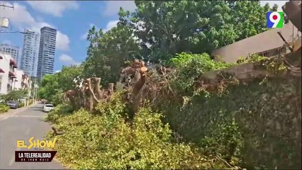 Cortan alrededor de 60 árboles en residencial José Oscar IV | El Show del Mediodía