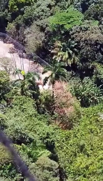 Moradores registram desmatamento em área de faculdade particular de Salvador