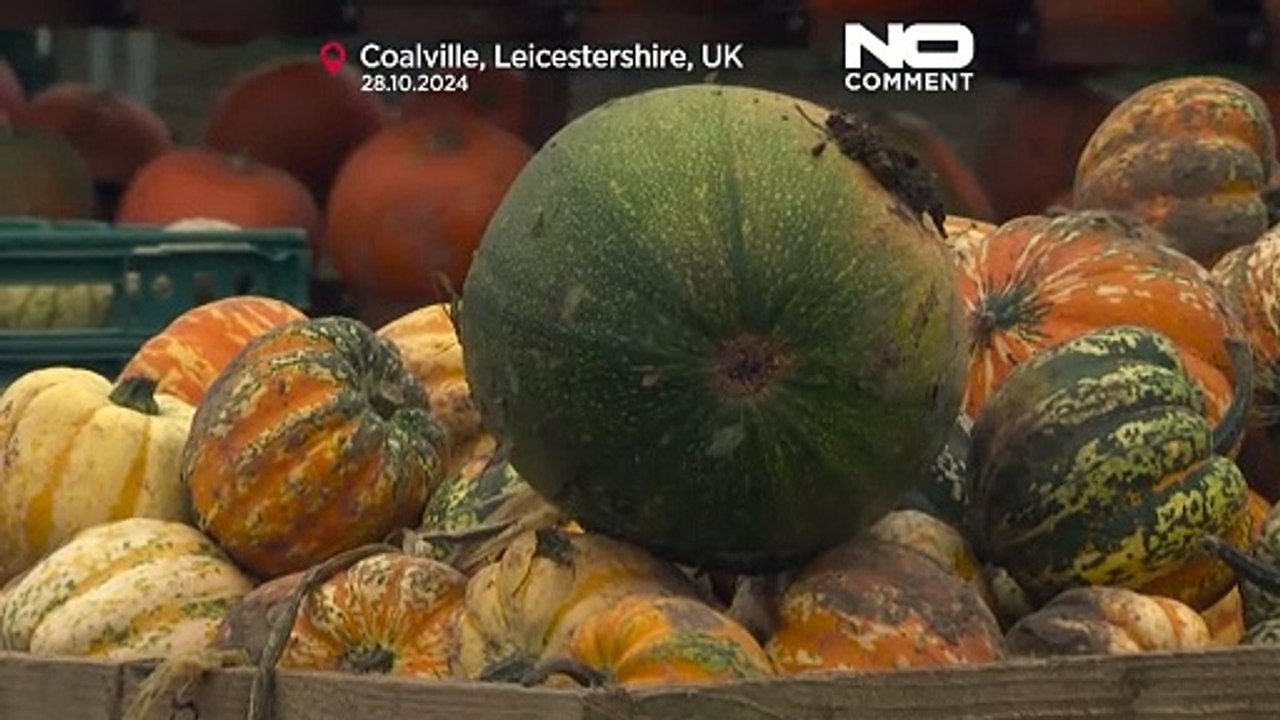 Zoo Bratislava: Tiere feiern Halloween