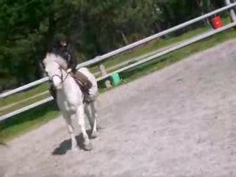Moi Et Pepito