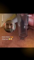 Don't miss the end ✌️