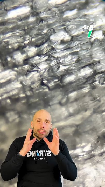 Devine ce qu’on te montre au microscope ! Donne-nous ta réponse en commentaire, un indice : ça dégage des composés sulfurés  @niko.astro