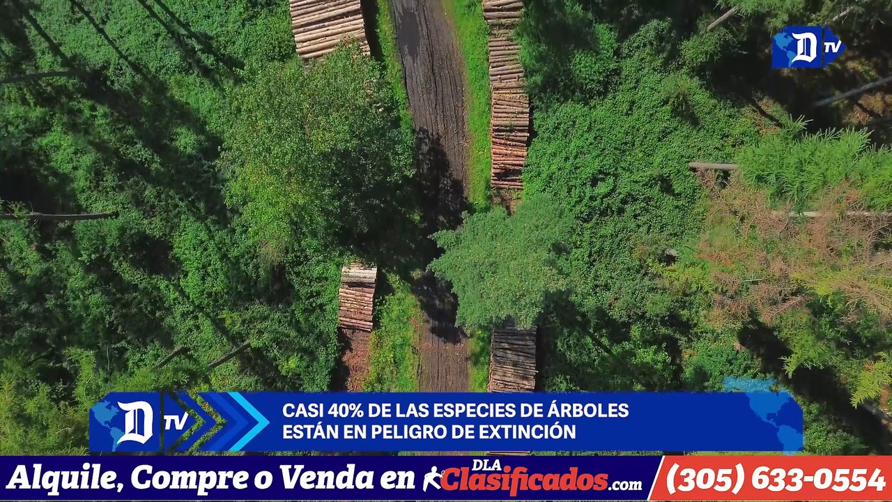 Posible depresión tropical en el Caribe mantiene en alerta a meteorólogos | El Diario en 90 segundos