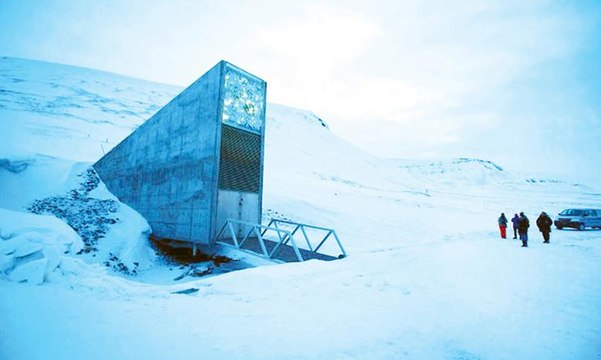 بذور فلسطينية تنضم إلى مشروع حماية التنوع البيولوجي العالمي