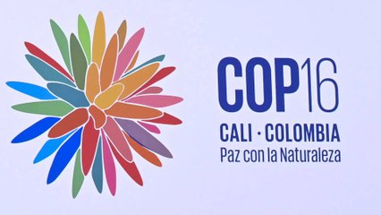 Los secretos detrás del logo de la COP16