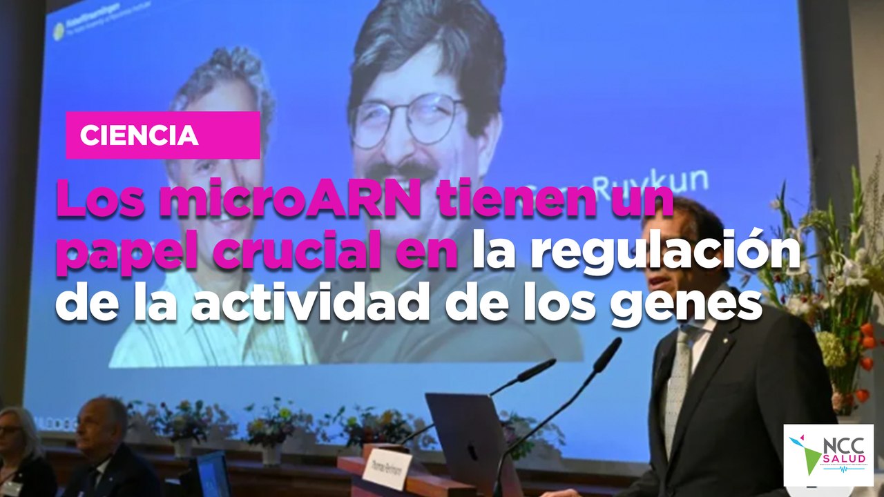 Los microARN tienen un papel crucial en la regulación de la actividad ...