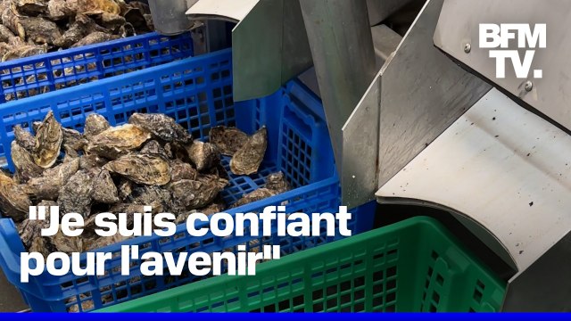 ROBIN DE BFM - Les ostréiculteurs normands se préparent aux fêtes de fin d'année après une année compliquée