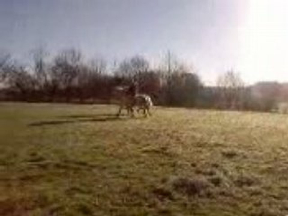 Lydie victoire mathilde biano