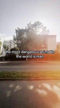 #motivation #quotes #success #mindset #motivational #motivationalvideo (13)