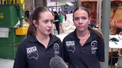 WA sheep industry struggling to adjust to changes in sheep trade