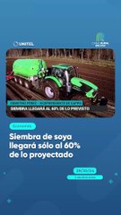 Siembra de soya llegará sólo al 60% de lo proyectado