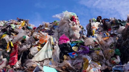 Heróis Verdes: UpPacked