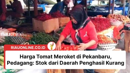 Harga Tomat Meroket di Pekanbaru, Pedagang Stok dari Daerah Penghasil Kurang