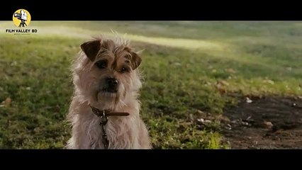 ধ্বংস হতে চলেছে পৃথিবী-আপনার শেষ ইচ্ছে কি-Movie Explained in Bangla - Film Valley BD