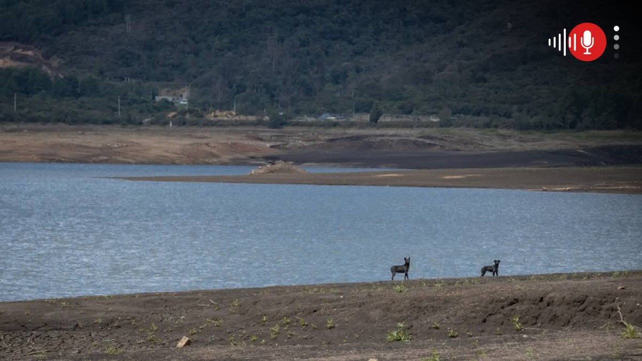 Importantes novedades en el nivel de los embalses de Cundinamarca en el inicio de la última semana de octubre	 Importantes novedades en el nivel de los embalses de Cundinamarca en el inicio de la última semana de octubre