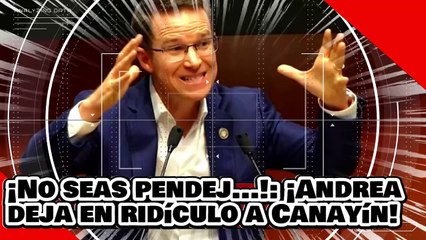 ¡No seas pendej...! ¡Andrea Chávez deja en ridículo a Ricky Riquín Canayín por defender a Ra-PIÑA!