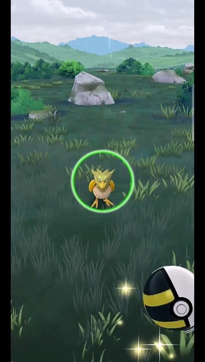 Pokémon GO-Shiny Spearow