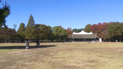 [날씨] 내일 전국 맑고 큰 일교차...아침·저녁 쌀쌀, 낮 온화 / YTN