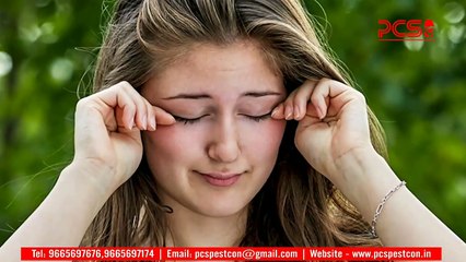 Mosquito Control Treatment in Nagpur-PCS