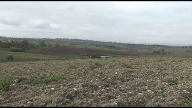 Seminare il Futuro, l'iniziativa per un domani più sostenibile