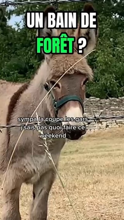 Pour ta santé mentale, tu dois ABSOLUMENT faire ça !