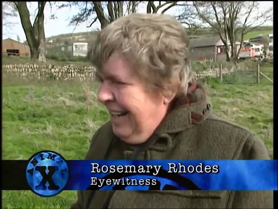 Animal x -Besta de Bodmin,lula gigante,Pets psíquicos(dublado)