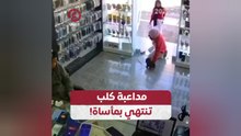 مداعبة كلب تنتهي بمأساة!