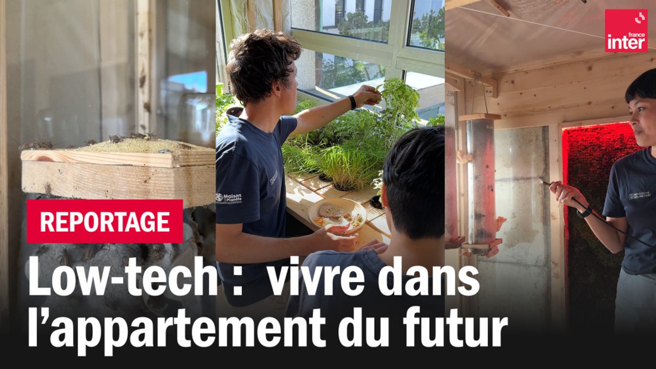 Low tech : vivre dans l'appartement du futur - Vidéo Dailymotion