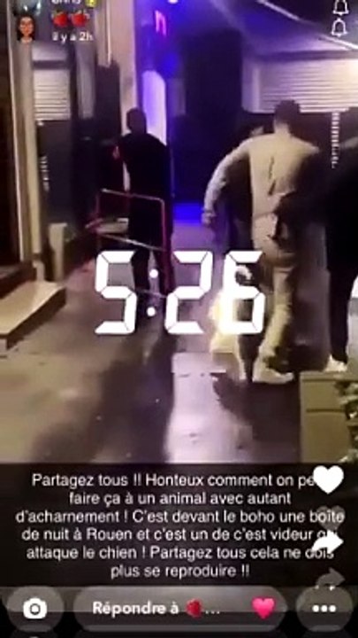 Un videur de boîte de nuit jette un parpaing sur un chien : Les images scandalisent