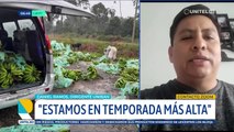 En su “temporada más alta”, bananeros hablan de una pérdida mayor a los $us 3 millones por los bloqueos