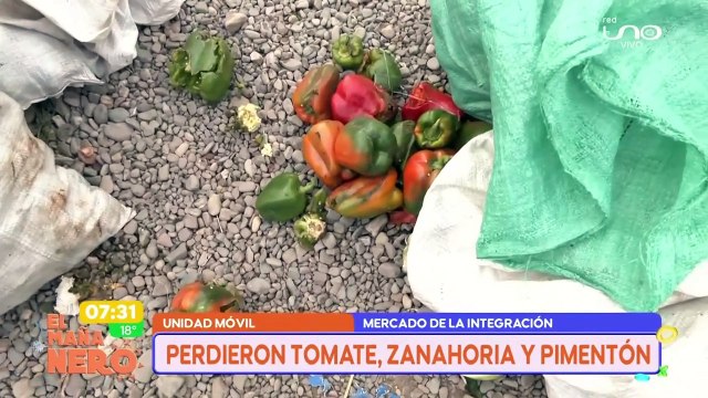 ¡Todo se ha podrido! Productores lloran las pérdidas de verduras y frutas