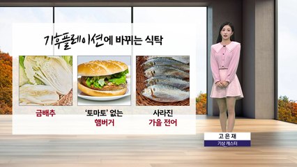 [이슈날씨] 기후플레이션에 바뀌는 식탁...온화한 가을 날씨 계속 / YTN