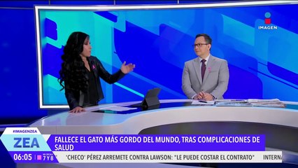 Fallece el gato más gordo del mundo