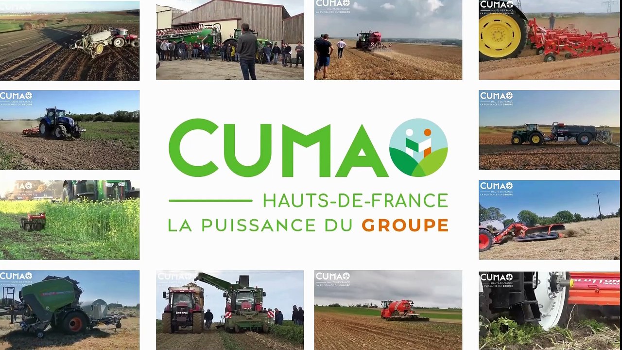 Promotion DINA CUMA courte avec ss titres