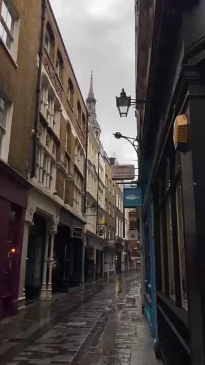 BALADE dans les rues londoniennes