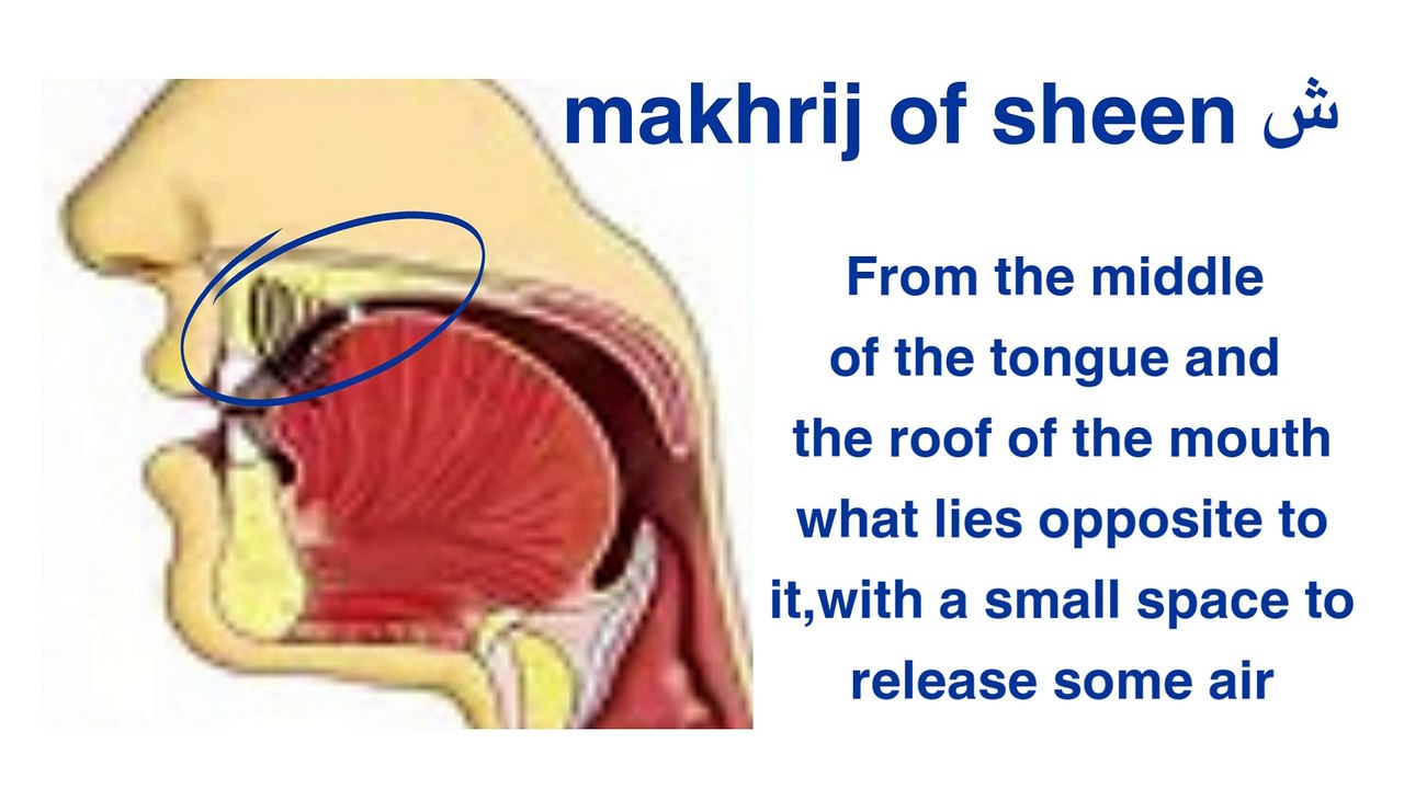 Shajria haroof