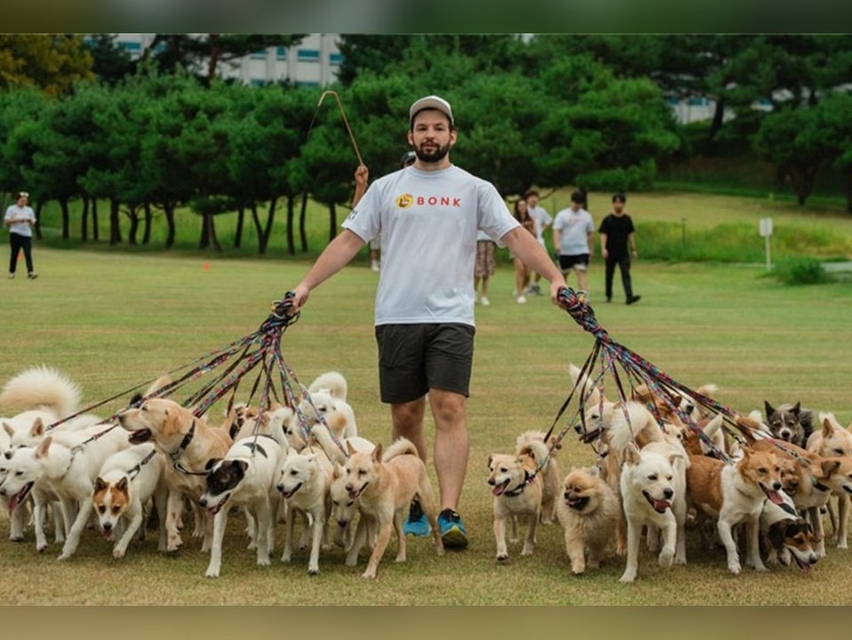 Weltrekord: Kanadier geht mit 38 Hunden gleichzeitig Gassi