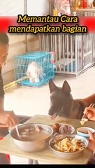 Memantau cara mendapatkan bagian