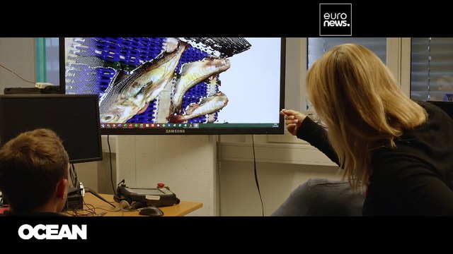 Рыбнадзор в руках ИИ — решение проблемы морского браконьерства?