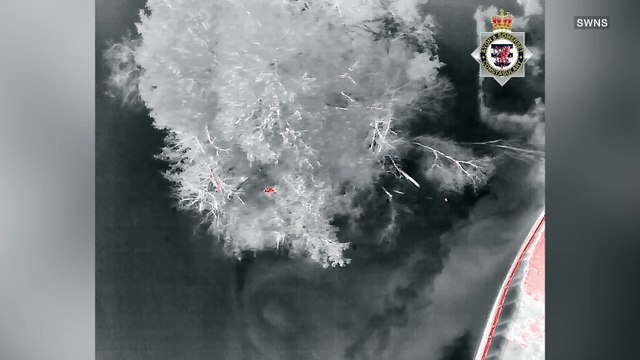 Drone footage captures thief evading capture by swimming on lake to hide on island