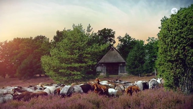 Rote Rosen 4049 folge