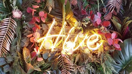 Hive Cocktail Bar in Southsea Unveils Exciting New Look and Menu 🍹