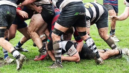 Farnham RFC v Chichester RFC 26-10-2024