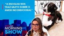 Cachorro herda fortuna de R$673 milhões de empresário indiano; psicóloga Larissa Fonseca ANALISA