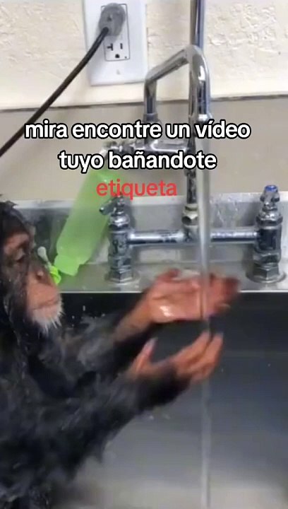Funny videos 